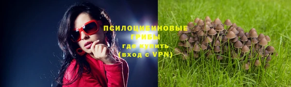 молекула духа Алексеевка