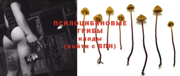 шишки Протвино