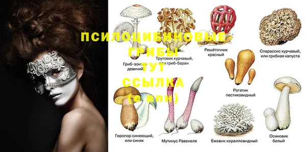 молекула духа Алексеевка
