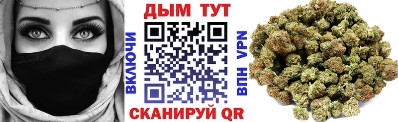 Конопля ГИДРОПОН  Лесосибирск 